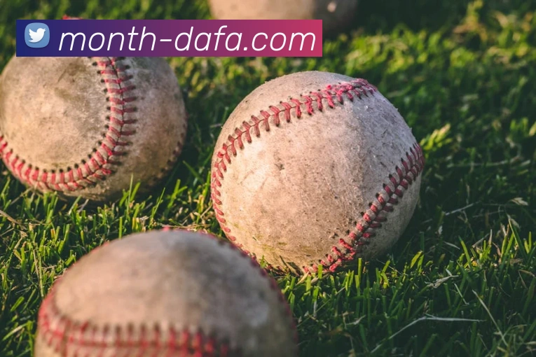 大发彩票平台生态图